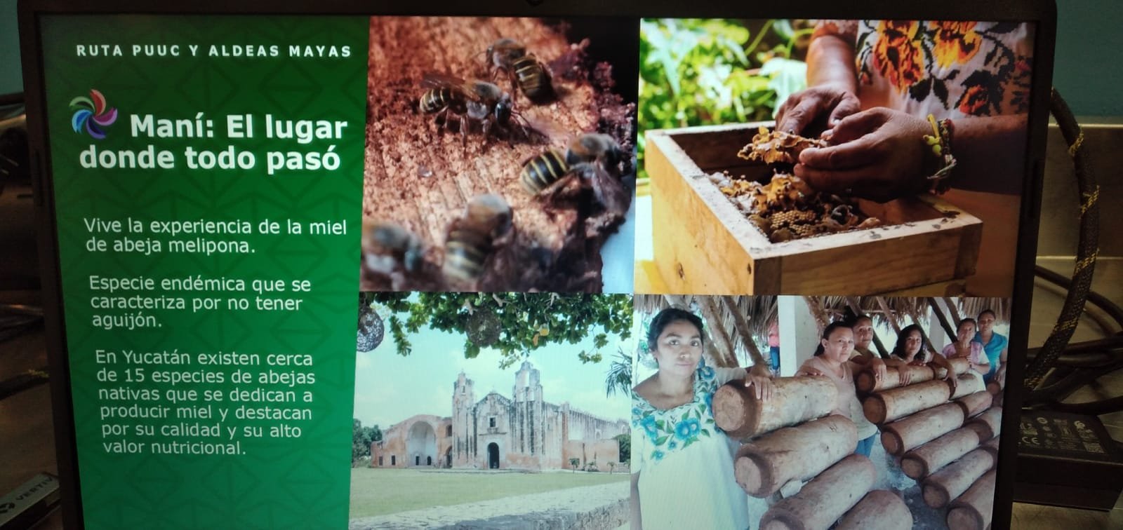 yucatan
