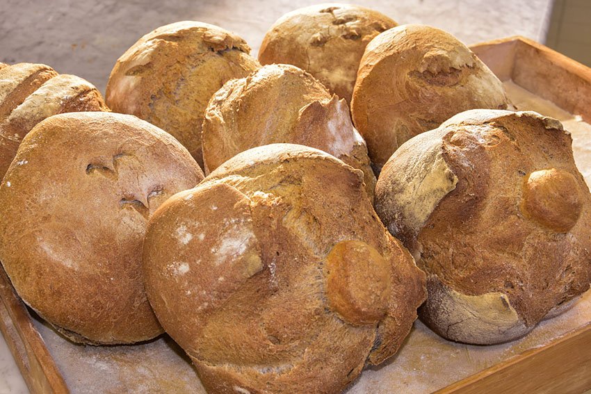 Corso di Panetteria
